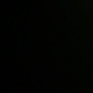 Meet your Posher, Trey